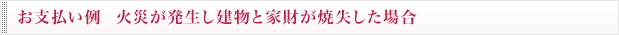 お支払い例 火災が発生し建物と家財が焼失した場合