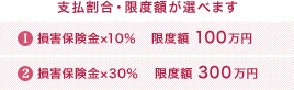 <支払割引・限度額が選べます>損害保険金×10% 限度額100万円/損害保険金×30% 限度額300万円/損害保険金×30% 限度額100万円(建物時価比例払特約をセットした場合)