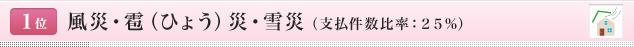 <1位>風災・雹（ひょう）災・雪災（支払件数比率：25％）