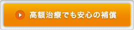 高額治療でも安心の補償