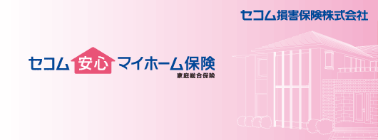ZRS}Cz[یiƒ둍یj