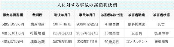 人に対する事故の高額判別例