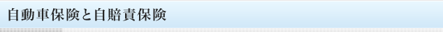 自動車保険と自賠責保険