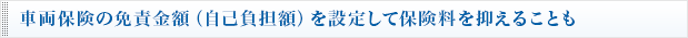 車両保険の免責金額を設定して保険料を抑えることも