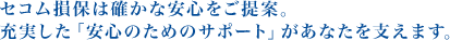 セコム損保は確かな安心をご提案。充実した「安心のためのサポート」があなたを支えます。