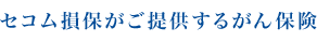 セコム損保がご提供するがん保険