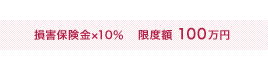 損害保険金×10％ 限度額100万円